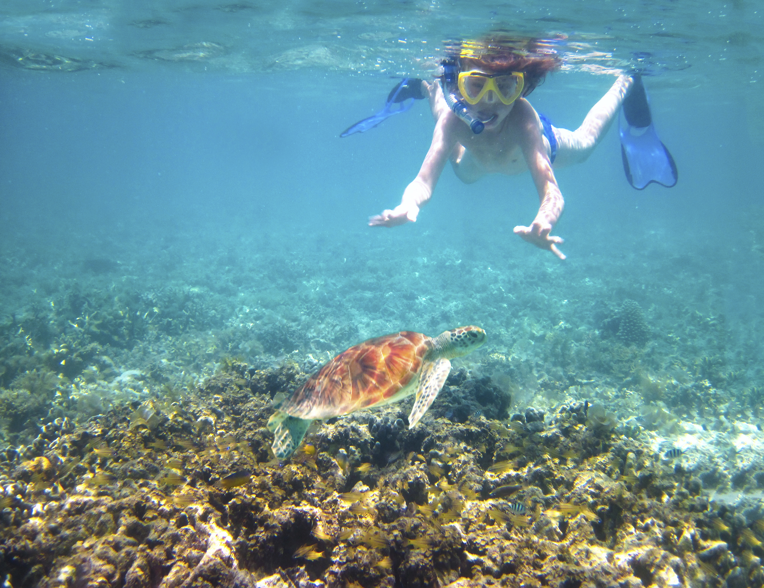 Les Plus Beaux Spots De Snorkeling Du Monde Skyscanner France